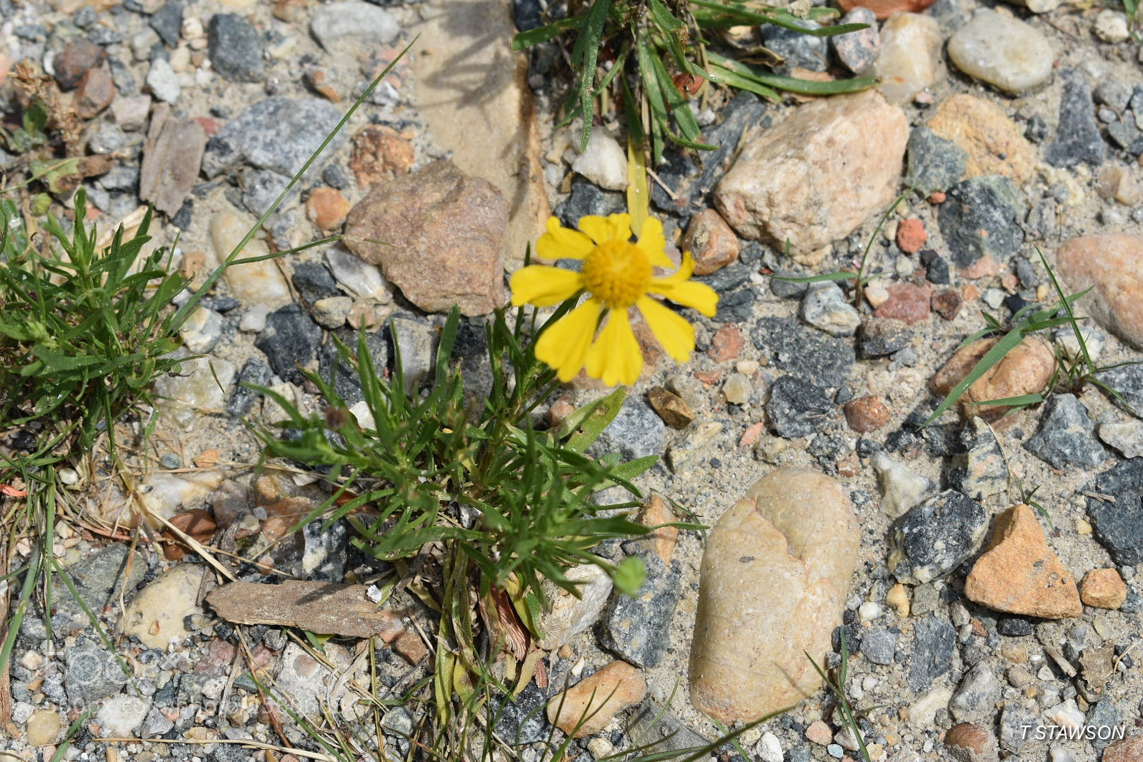 Nikon D3400 sample photo. 2018-05-14 11.56.24.jpg photography
