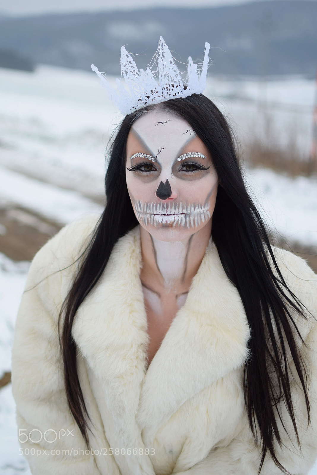 Nikon D5300 sample photo. Winter skulls photography