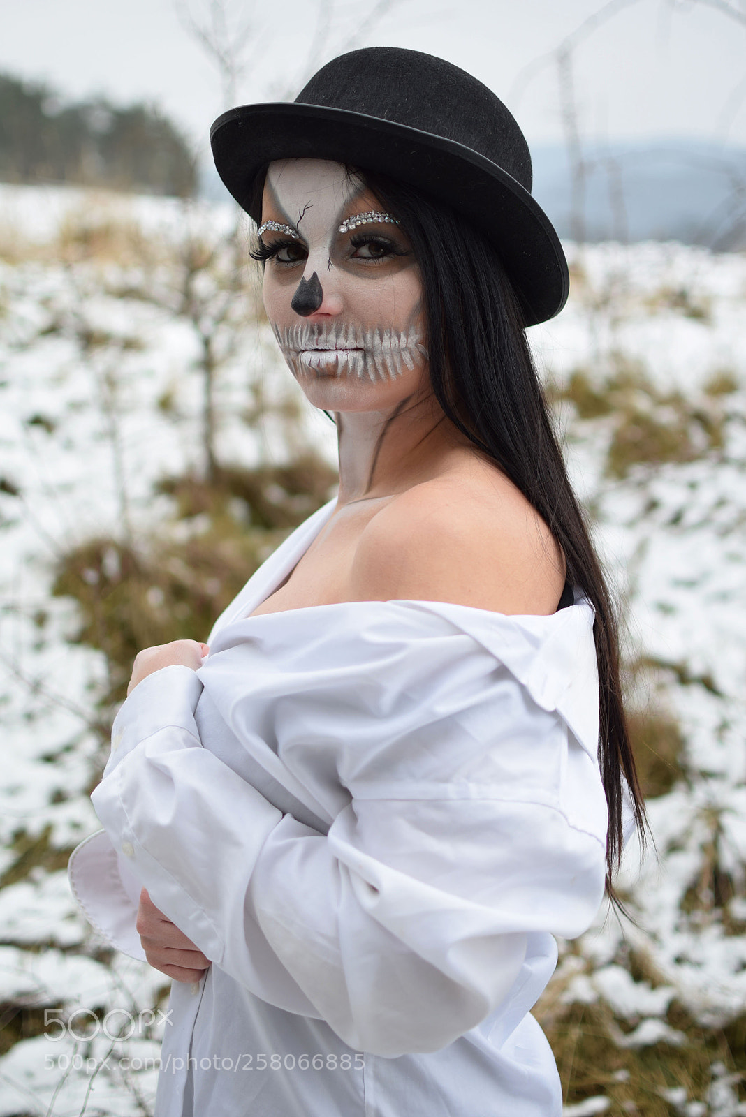 Nikon D5300 sample photo. Winter skulls photography