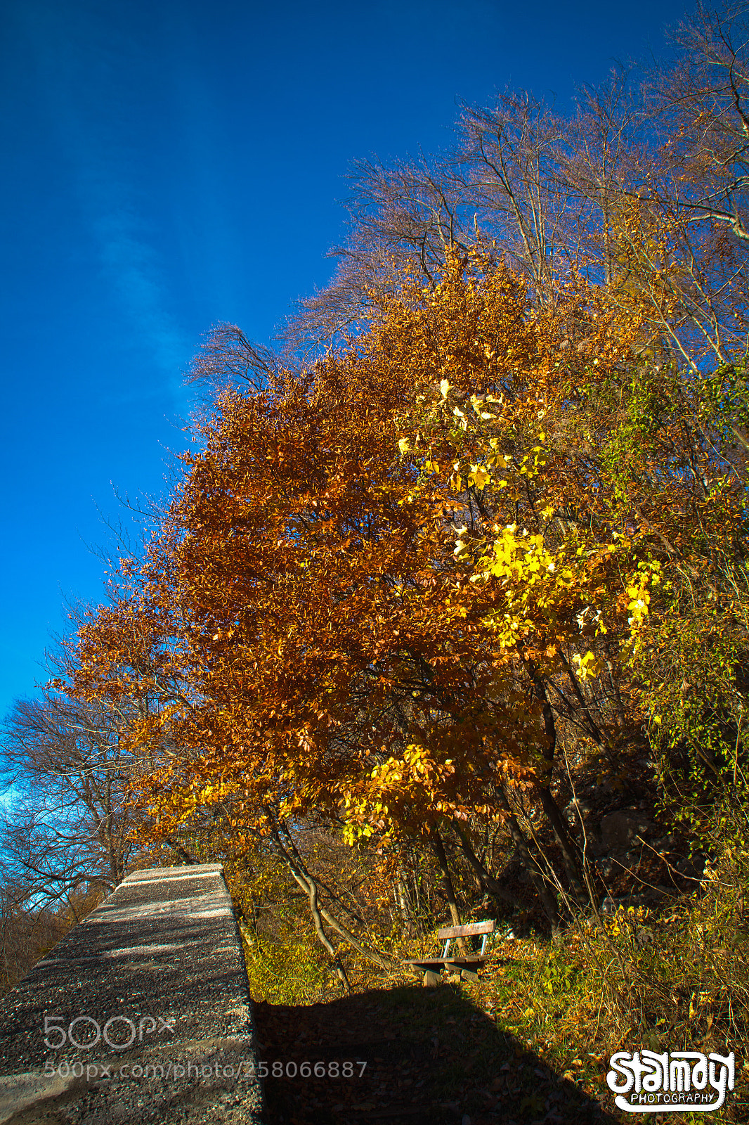 Canon EOS 650D (EOS Rebel T4i / EOS Kiss X6i) sample photo. Autumn photography