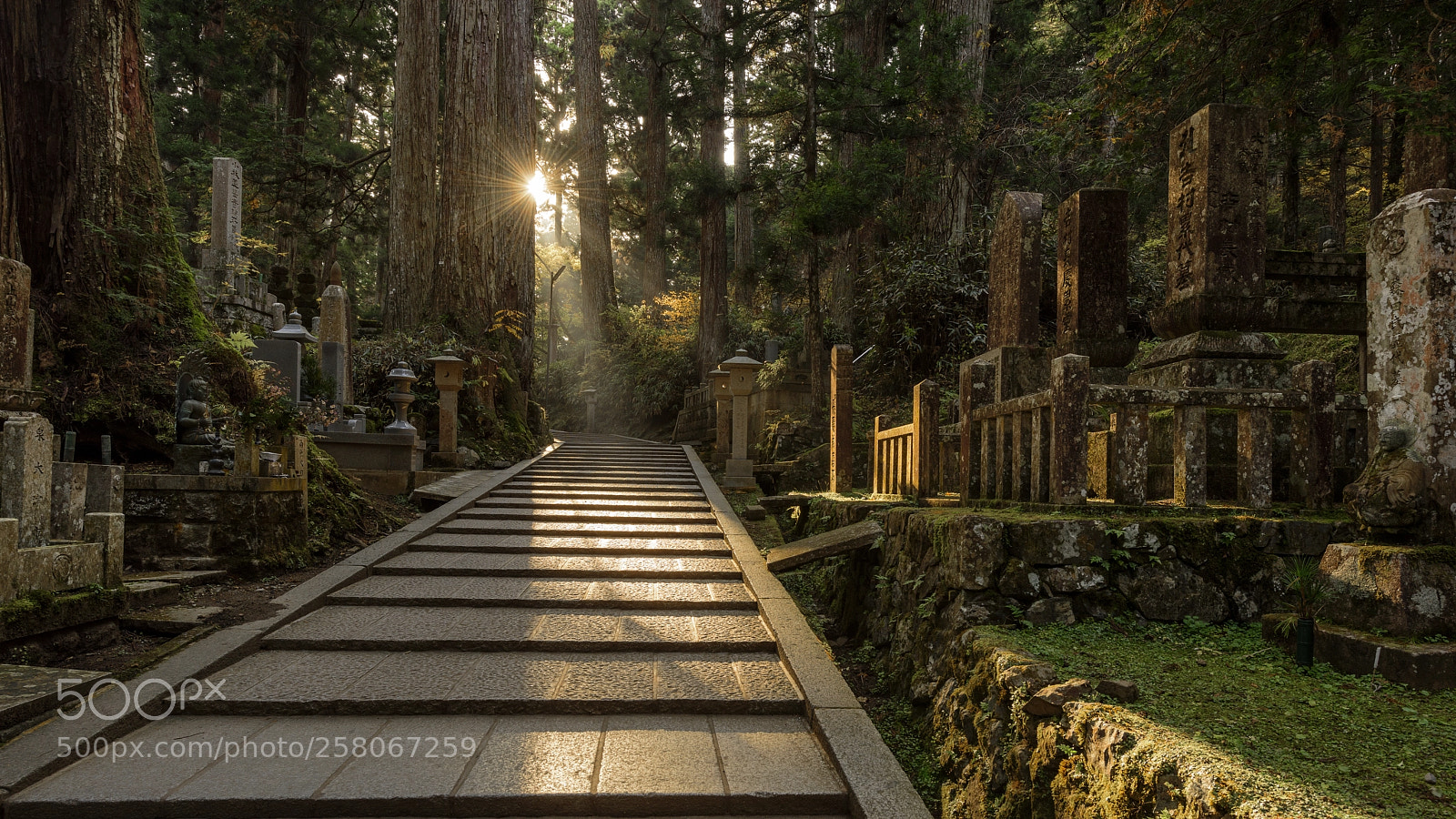 Nikon D810 sample photo. Koyasan at sunset photography