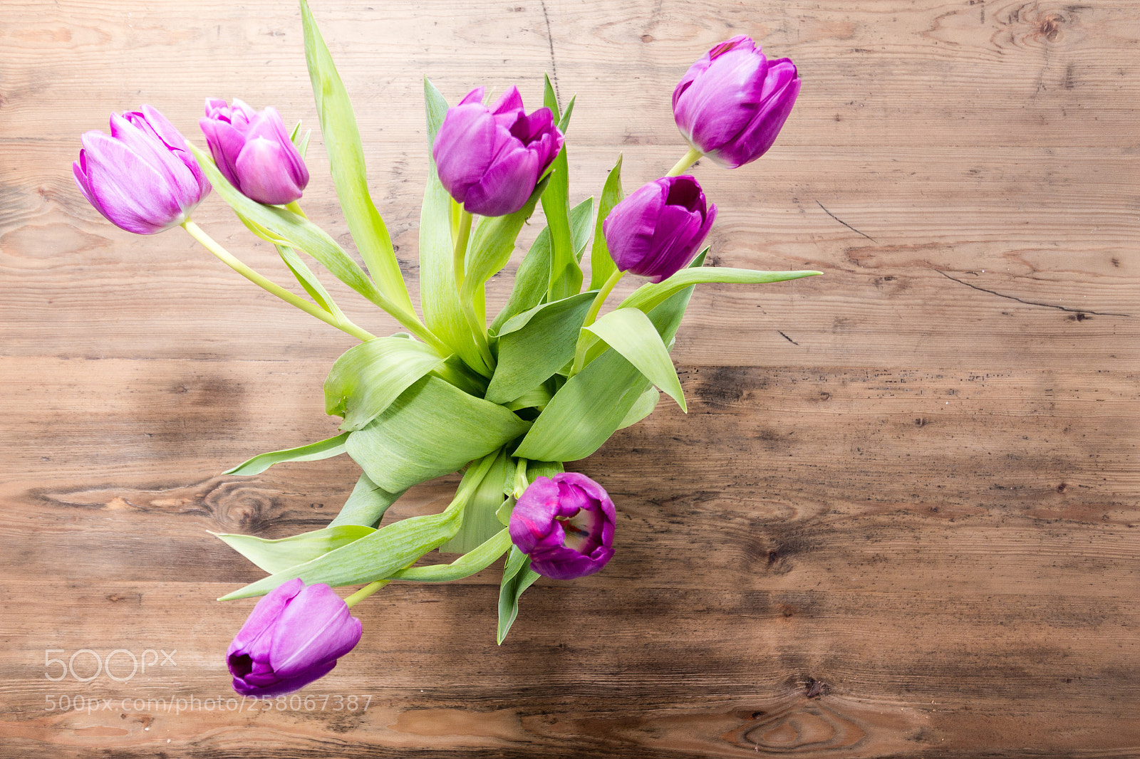 Canon EOS 650D (EOS Rebel T4i / EOS Kiss X6i) sample photo. Tulpen auf dem tisch photography