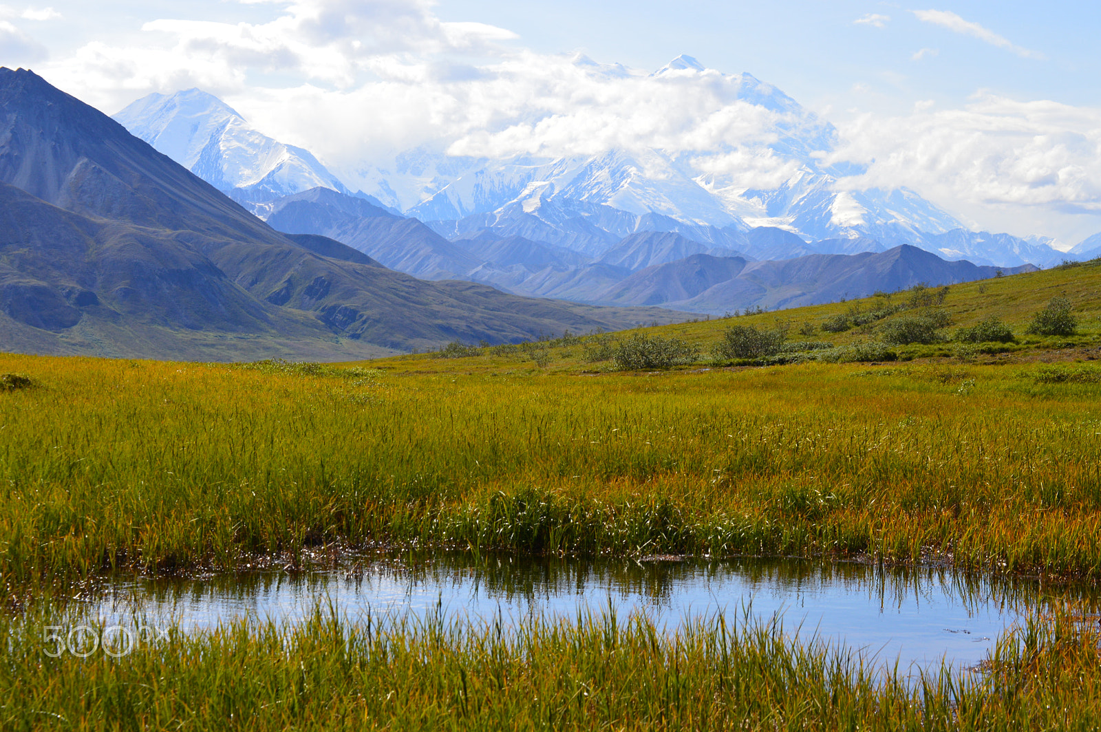 Nikon D3200 sample photo. Mount denali. denali national park. photography