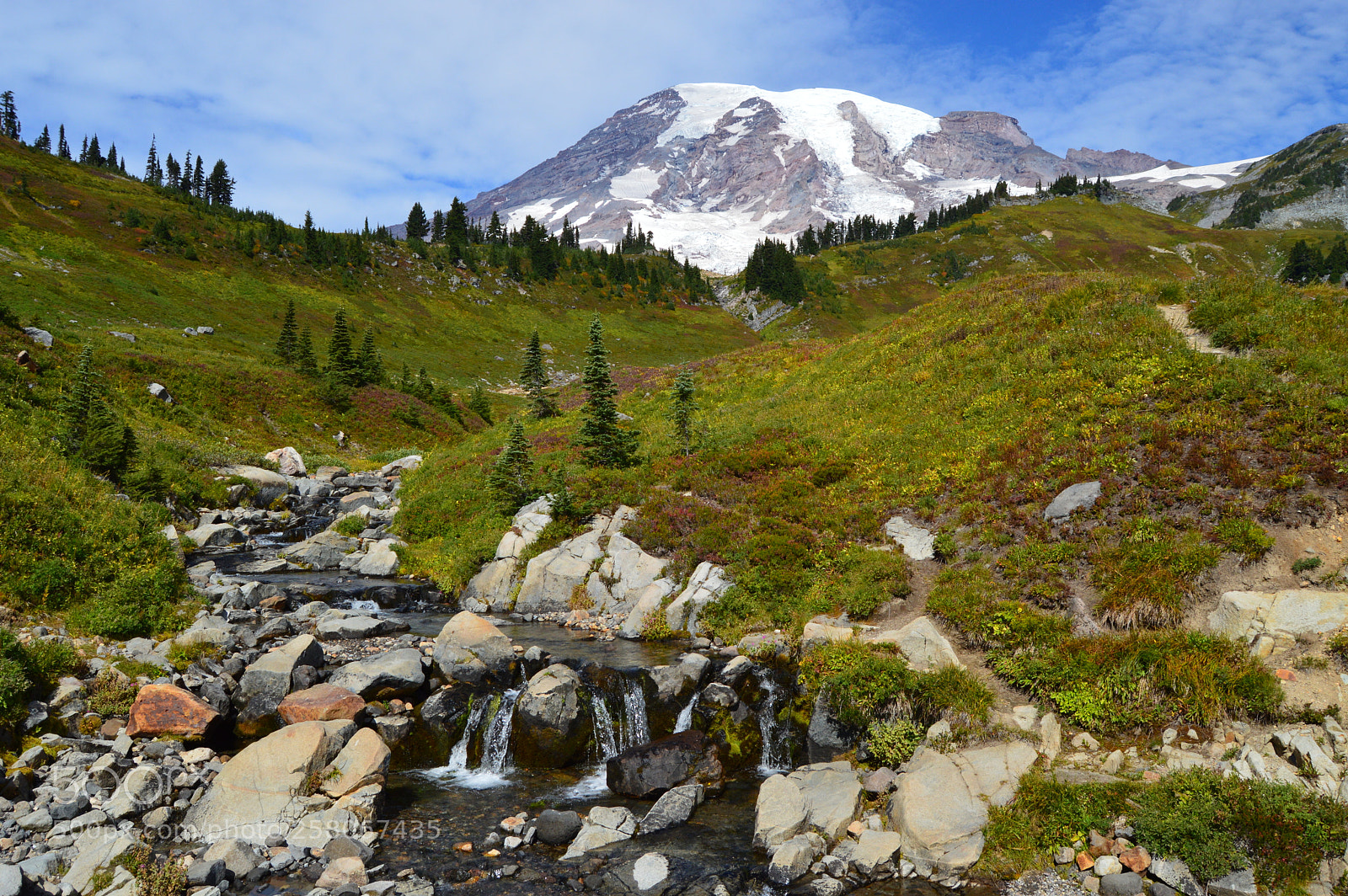 Nikon D3200 sample photo. Mount rainier national park photography