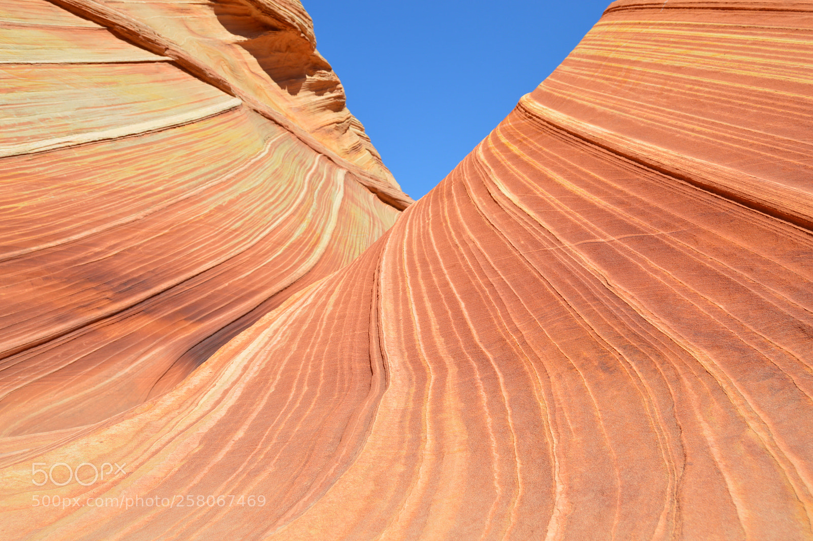 Nikon D3200 sample photo. The wave. coyote buttes photography