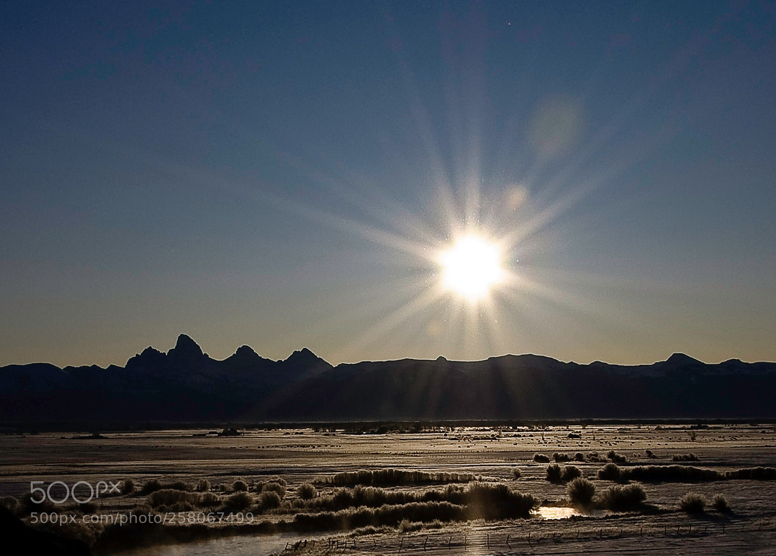 Nikon D90 sample photo. Winter morning  photography