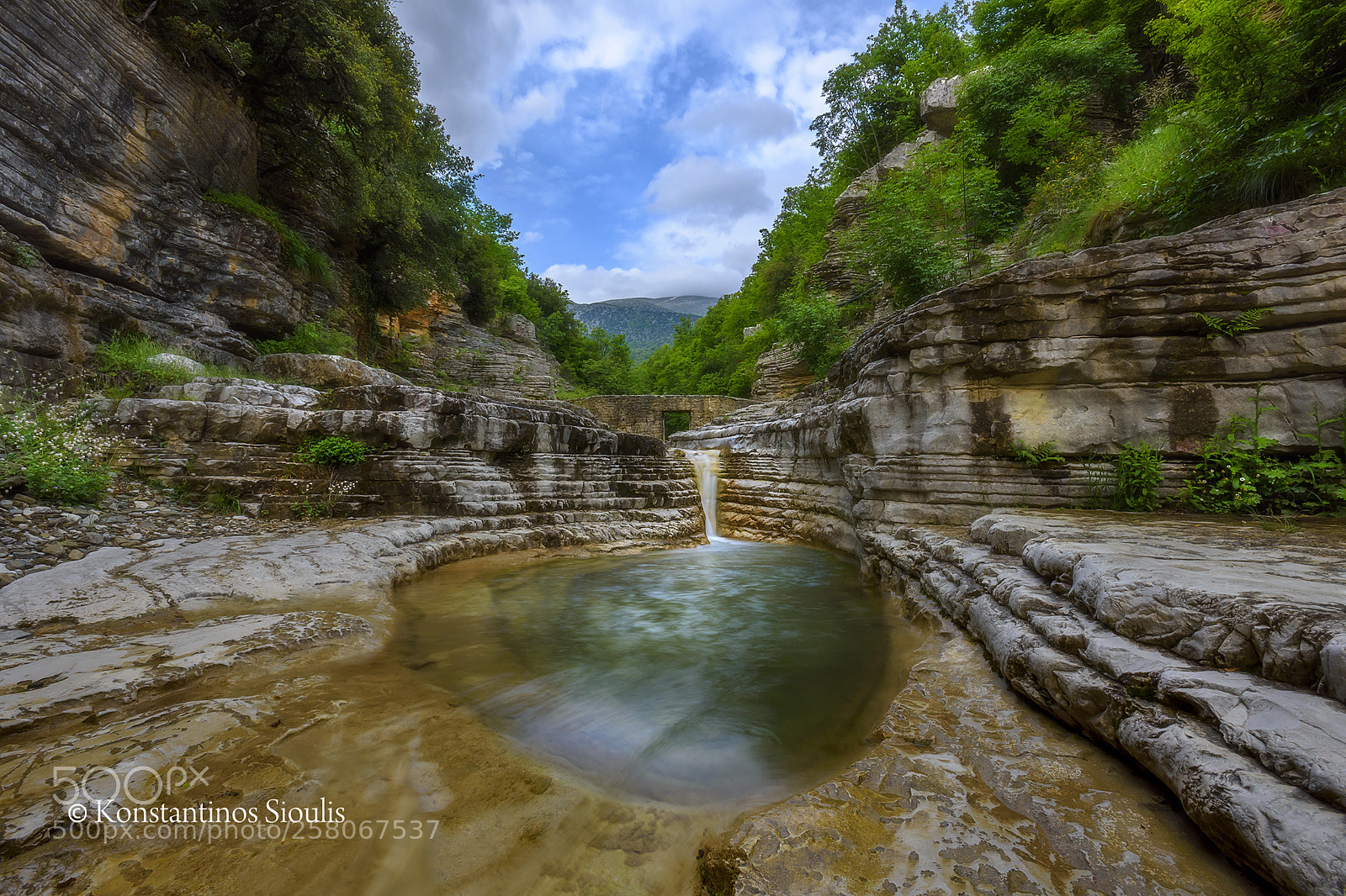 Nikon D7200 sample photo. Papigo  ( ovires ) photography