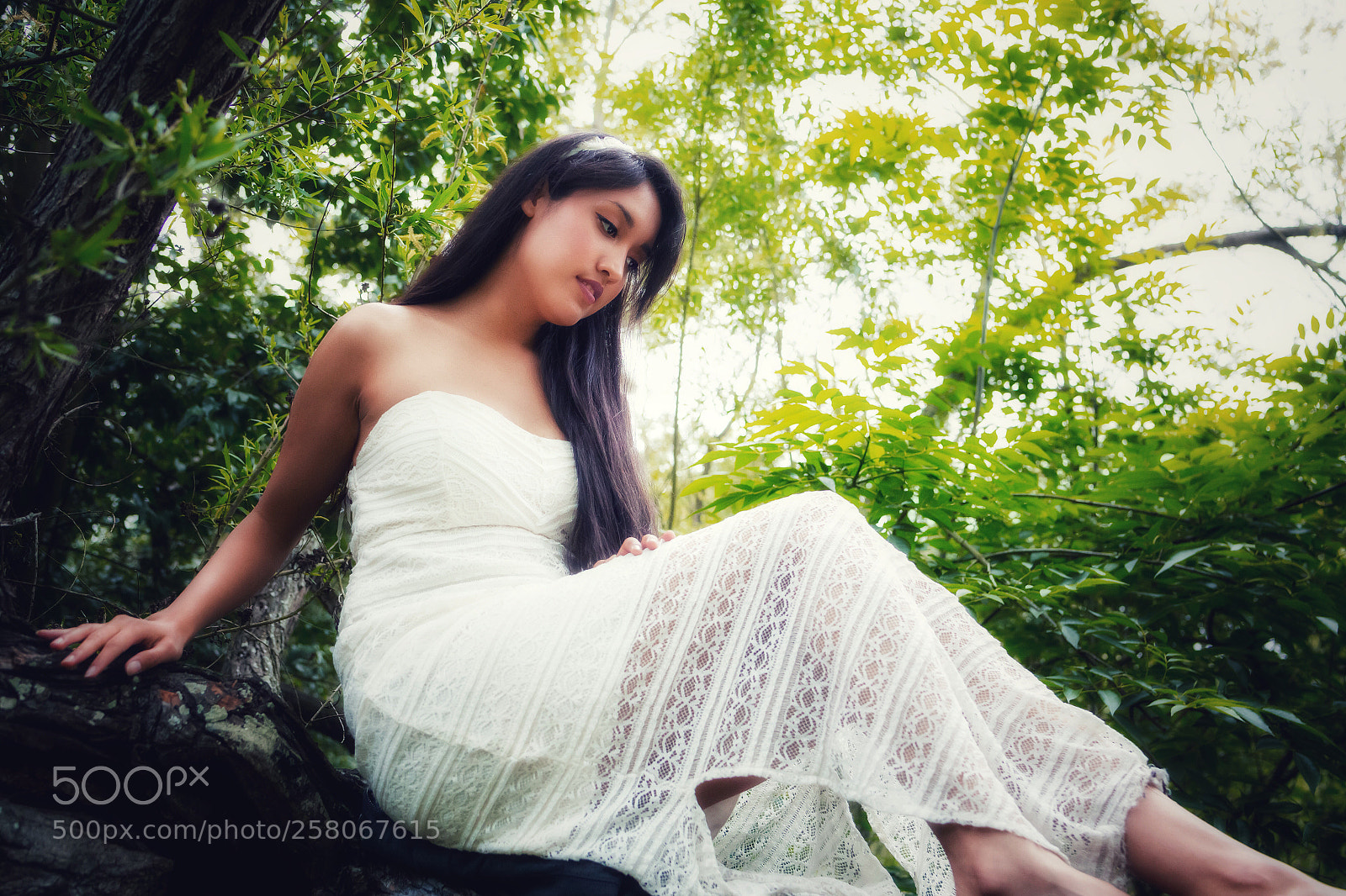 Canon EOS 6D sample photo. Tree of life photography
