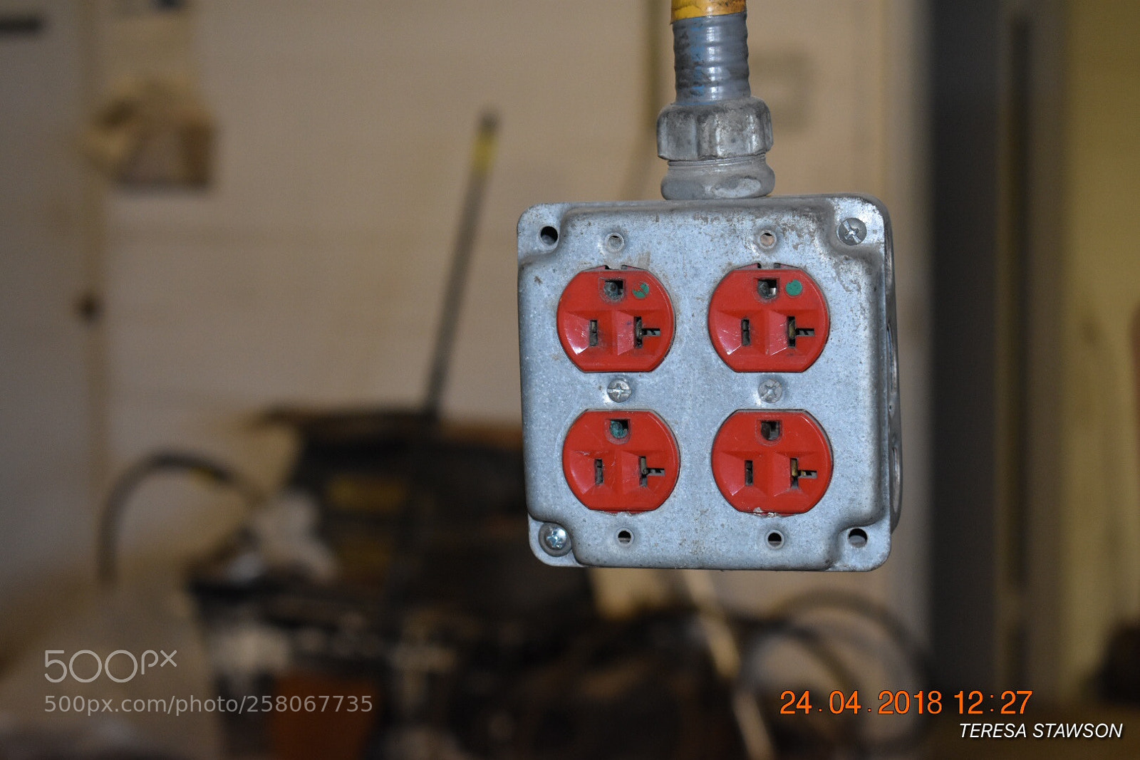Nikon D3400 sample photo. 2018-04-24 12.27.02.jpg photography