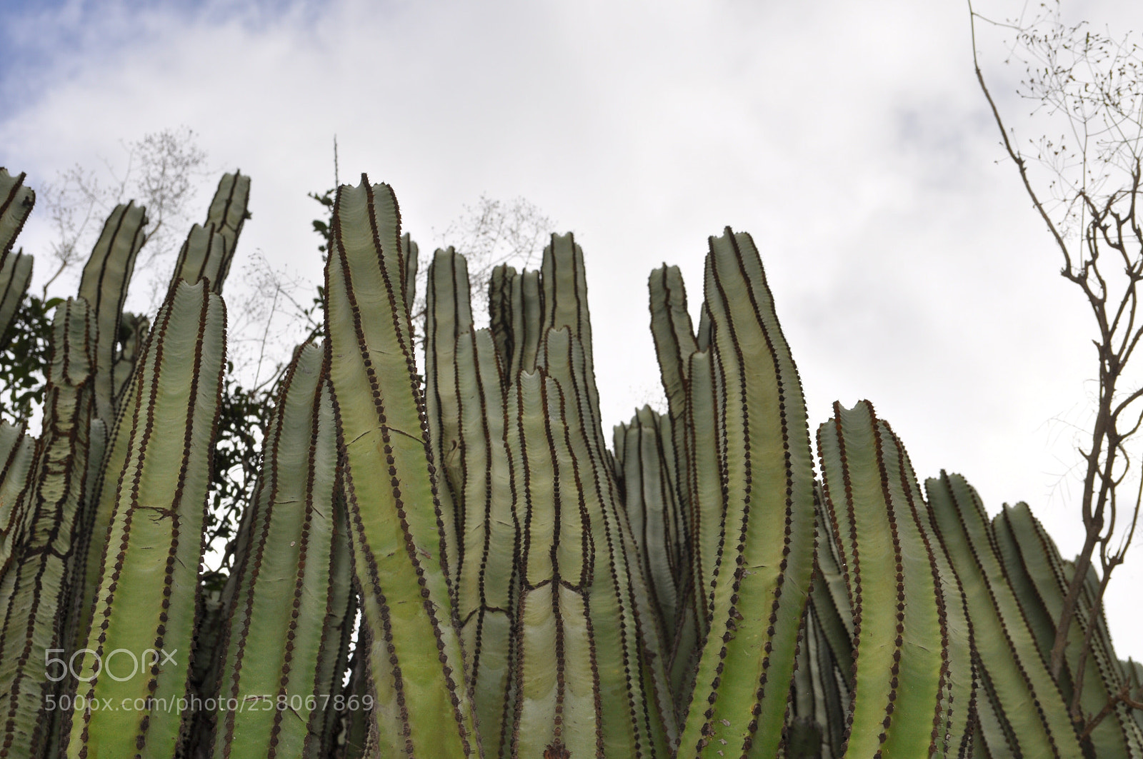 Nikon D90 sample photo. Untitled photography