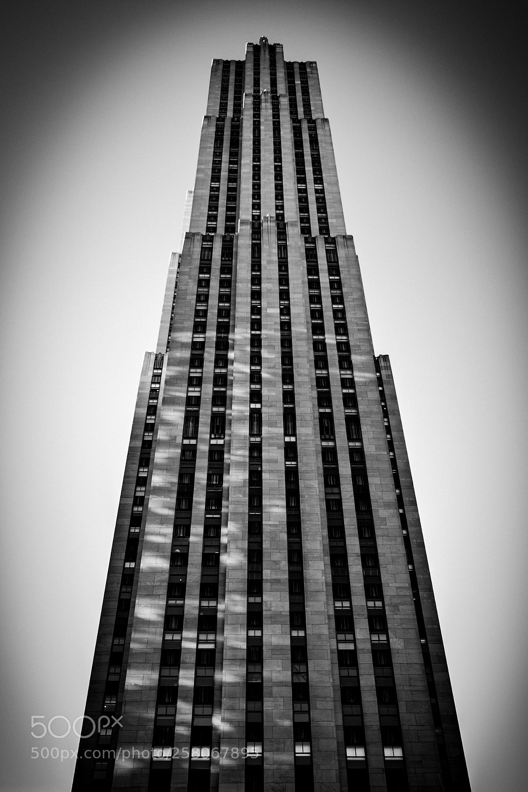 Nikon D90 sample photo. Solo photography