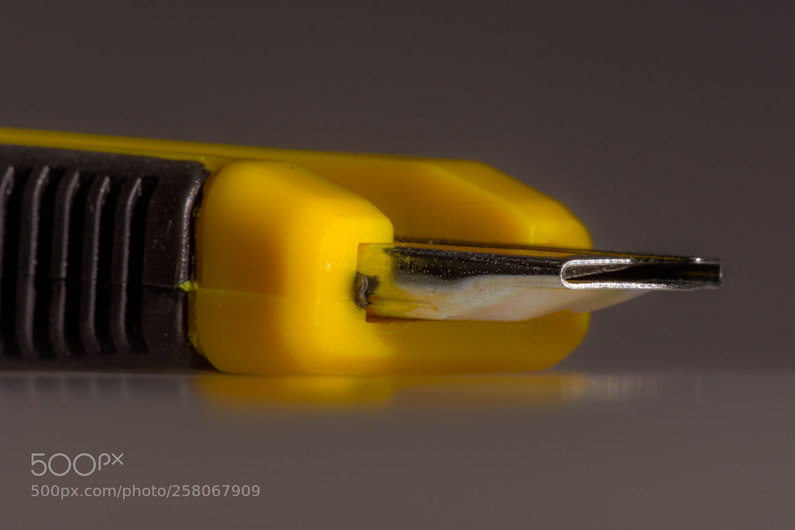 Nikon D7200 sample photo. Cutter photography