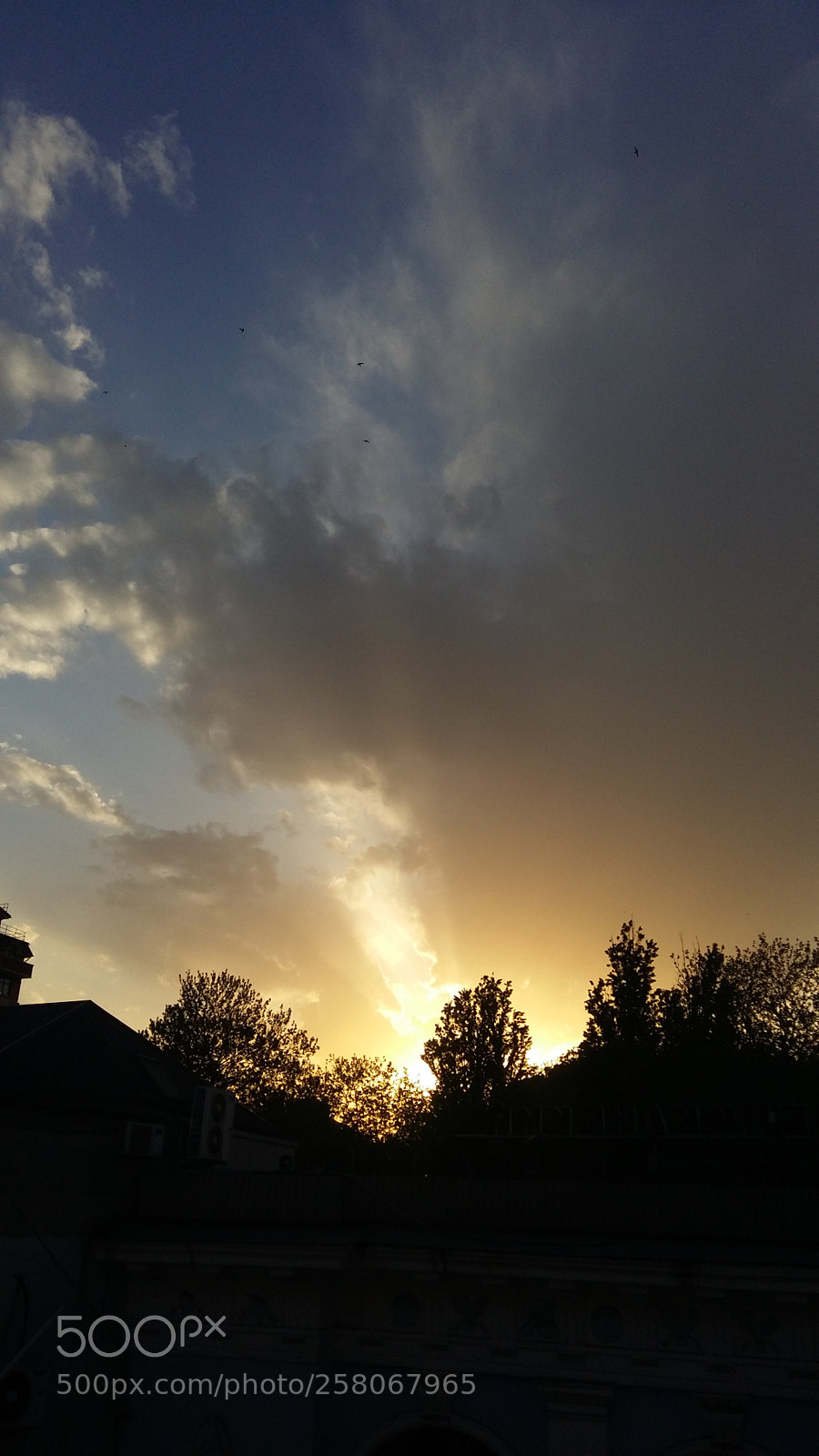 Samsung Galaxy A5 sample photo. The tenth day without photography