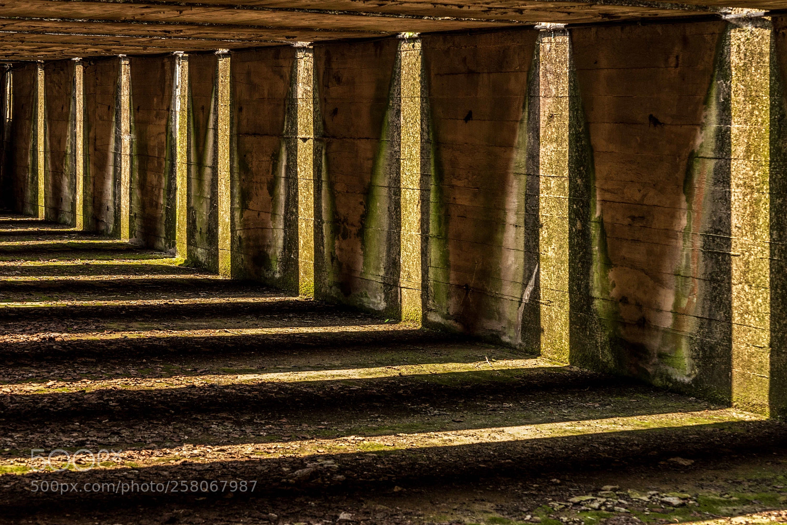 Nikon D610 sample photo. Dans le blockhaus photography