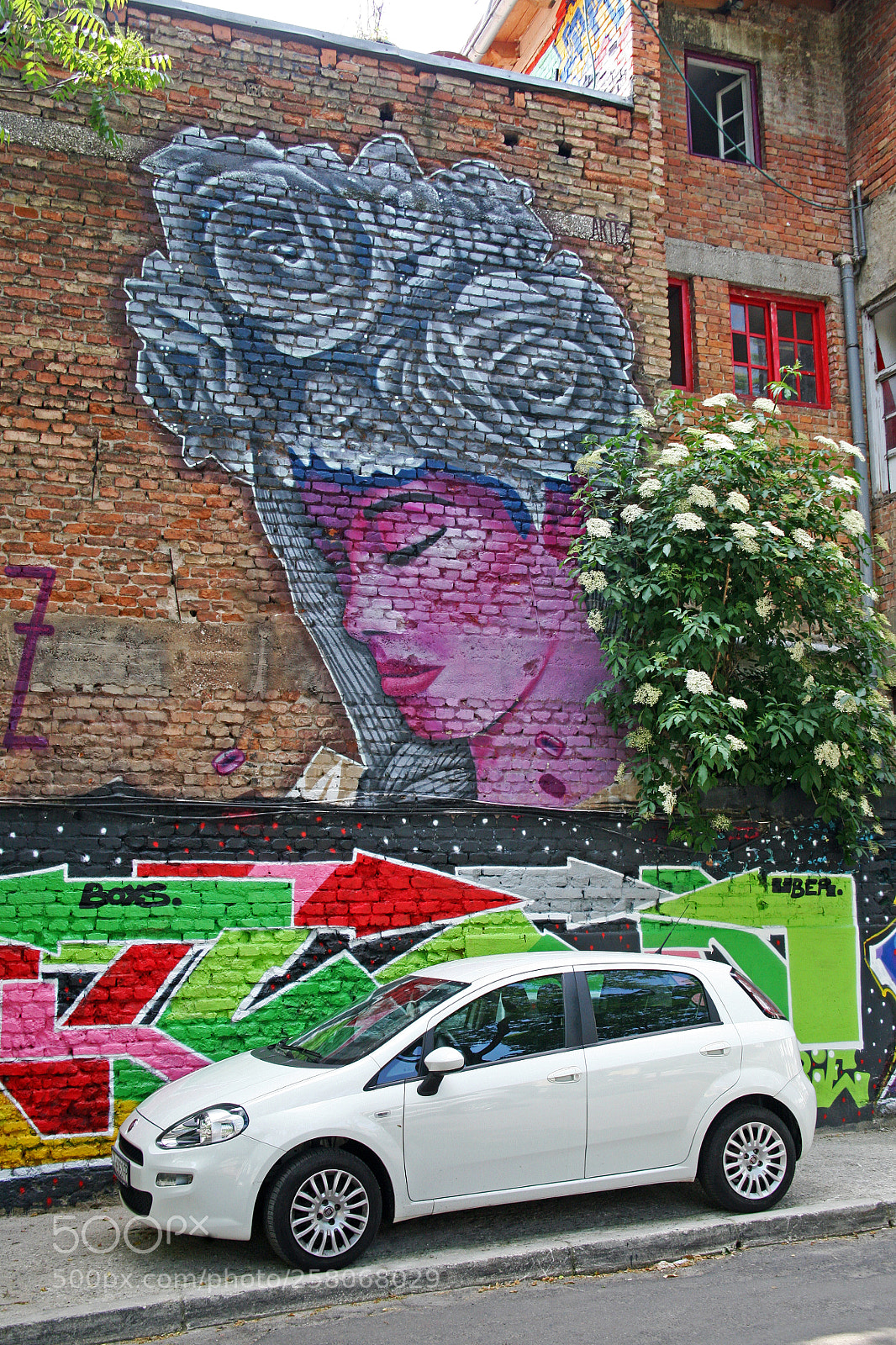 Canon EOS 5D sample photo. Wall paintings in zagreb,croatia,europe,1 photography