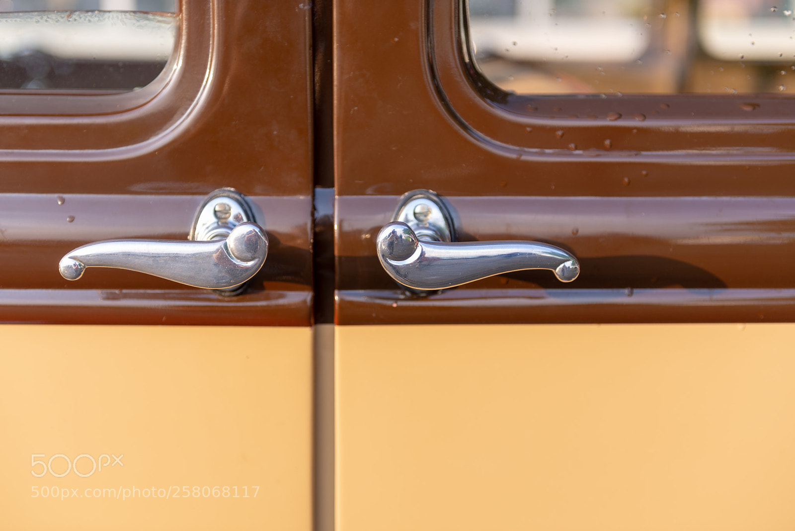 Nikon D600 sample photo. Detail take of a photography