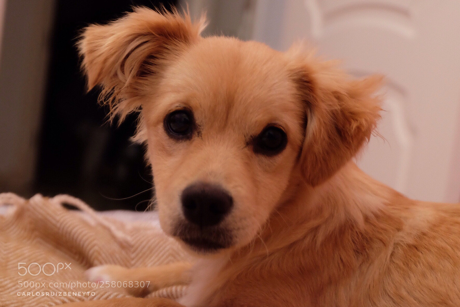 Fujifilm X-T10 sample photo. Mia photography