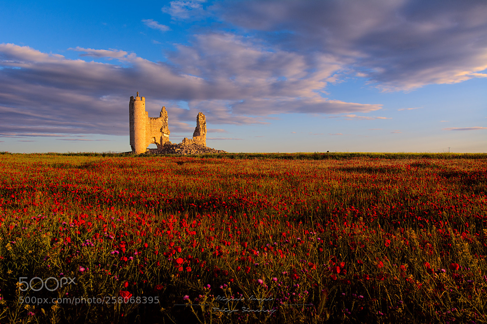 Nikon D7100 sample photo. Castillo de rivadeneyra photography