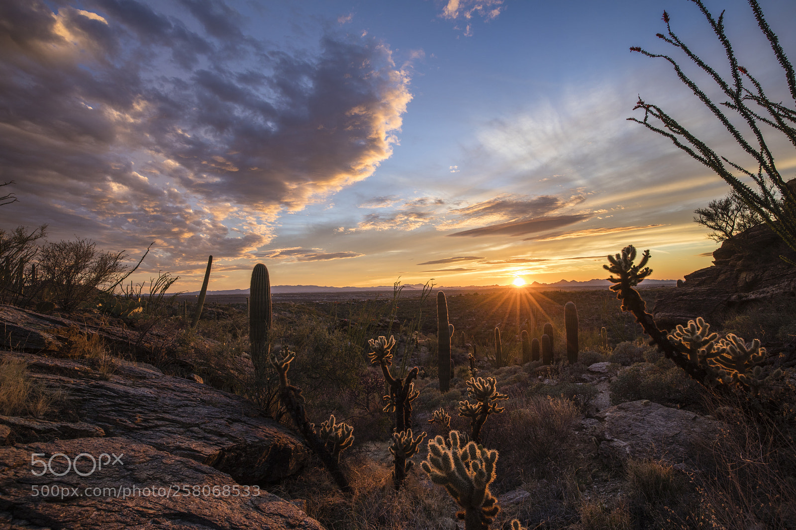 Canon EOS 5D Mark IV sample photo. Arizona sunset photography