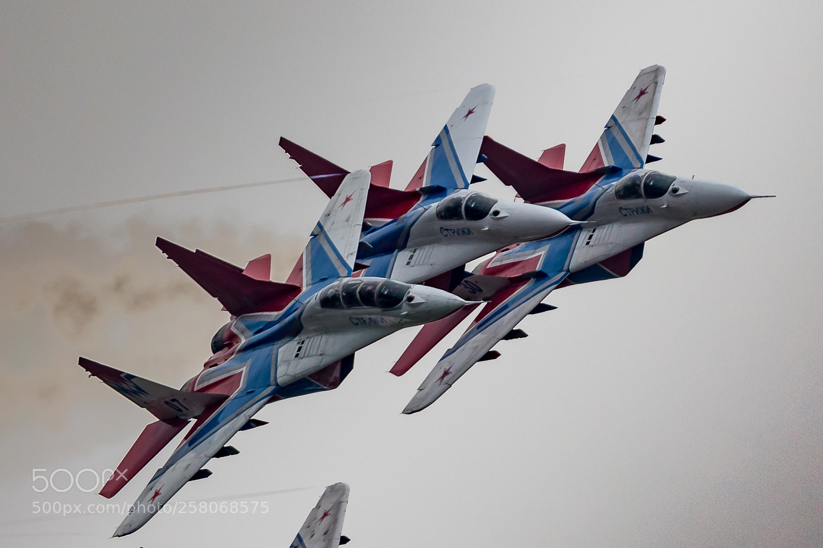 Canon EOS 7D Mark II sample photo. Стрижи photography