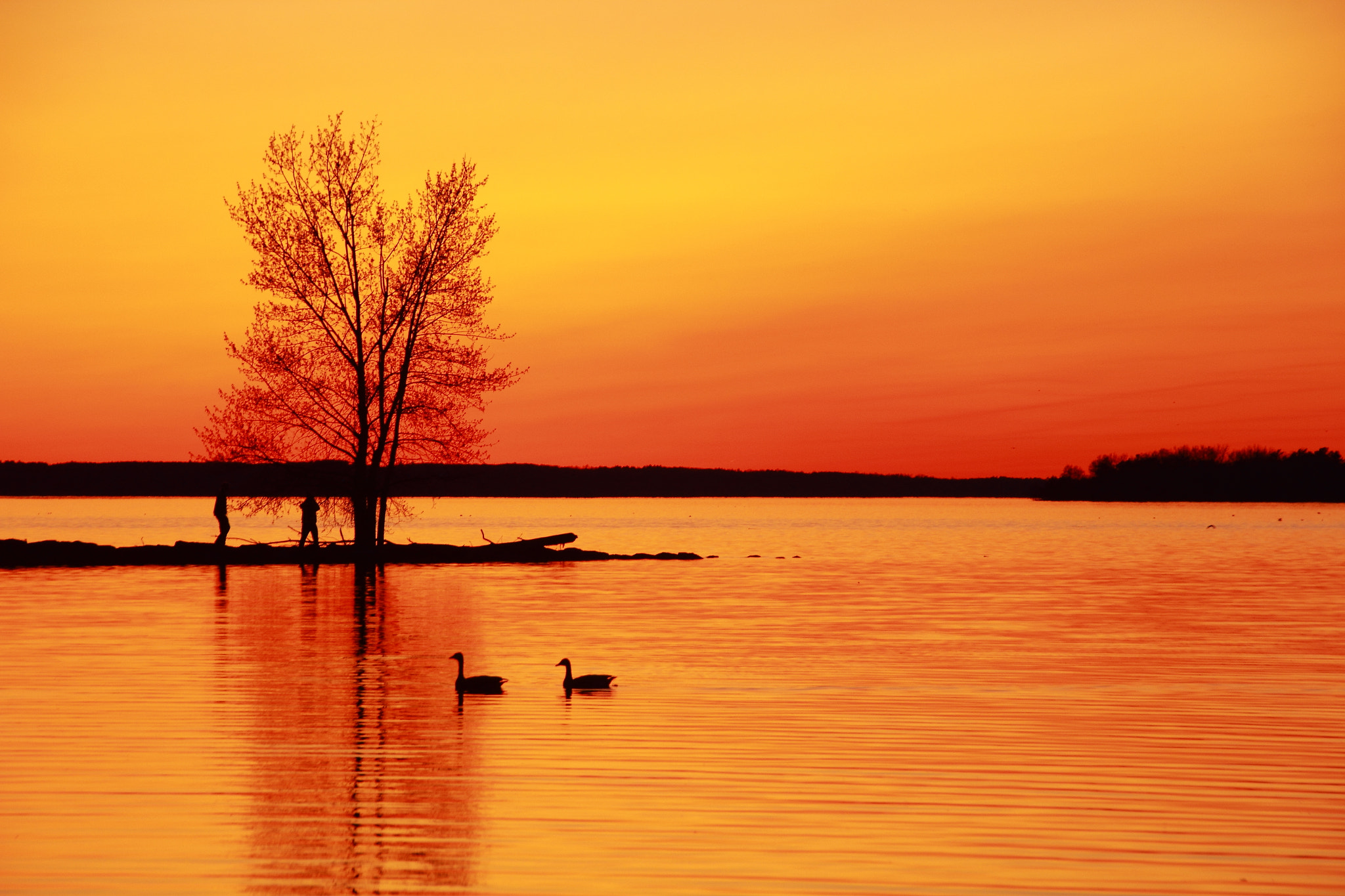 Sigma 18-250mm F3.5-6.3 DC OS HSM sample photo. After sunset photography