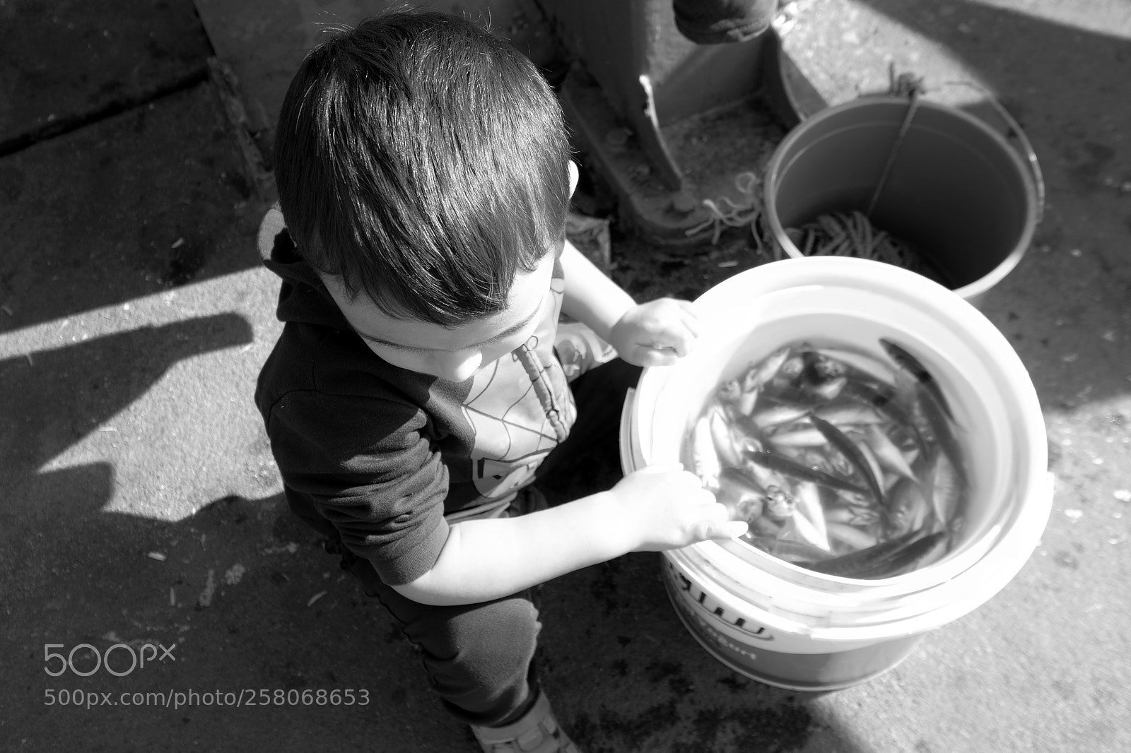 Fujifilm X-T2 sample photo. Untitled photography