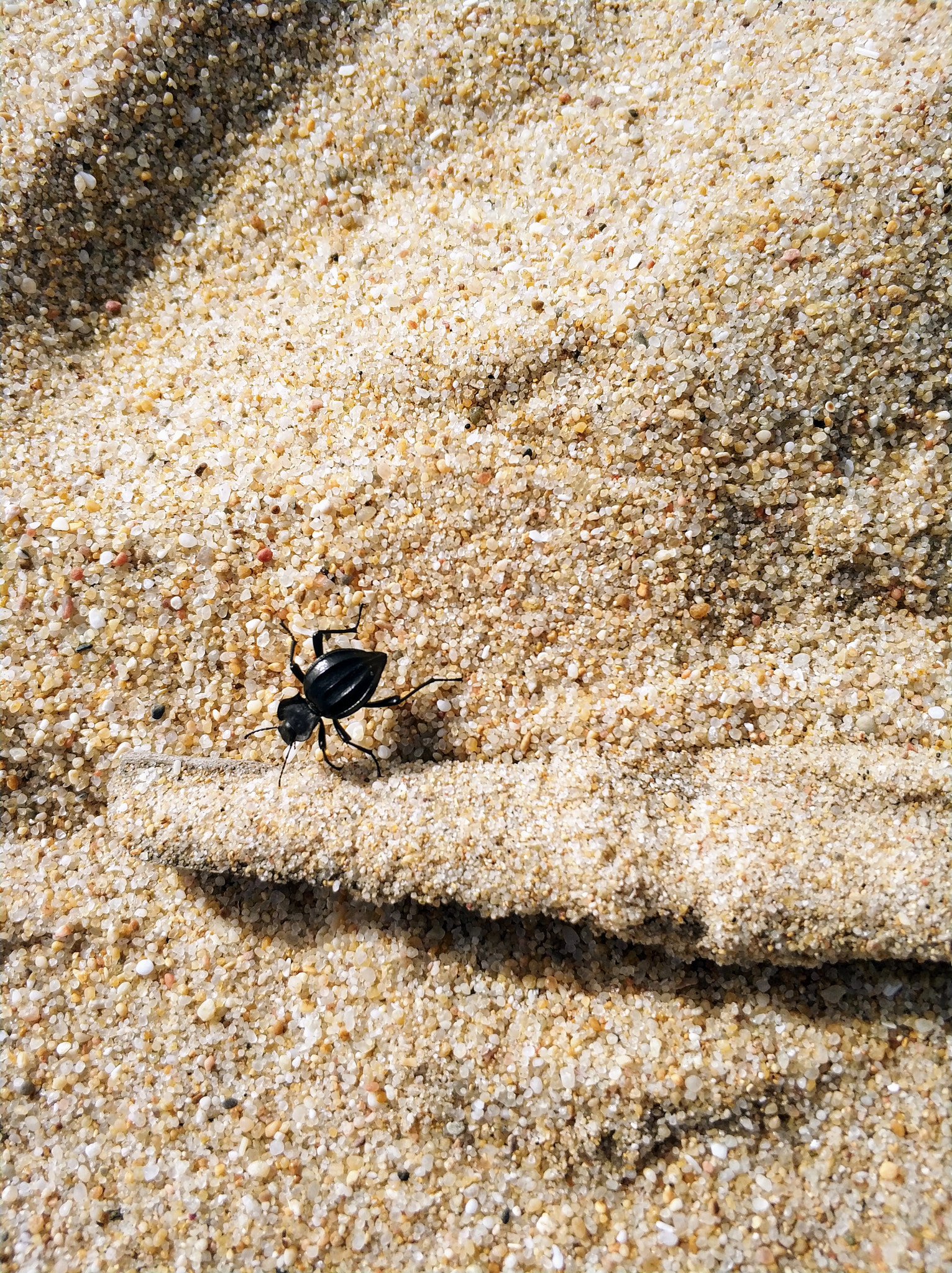 Xiaomi Mi Note 3 sample photo. Millions grains of sand... photography