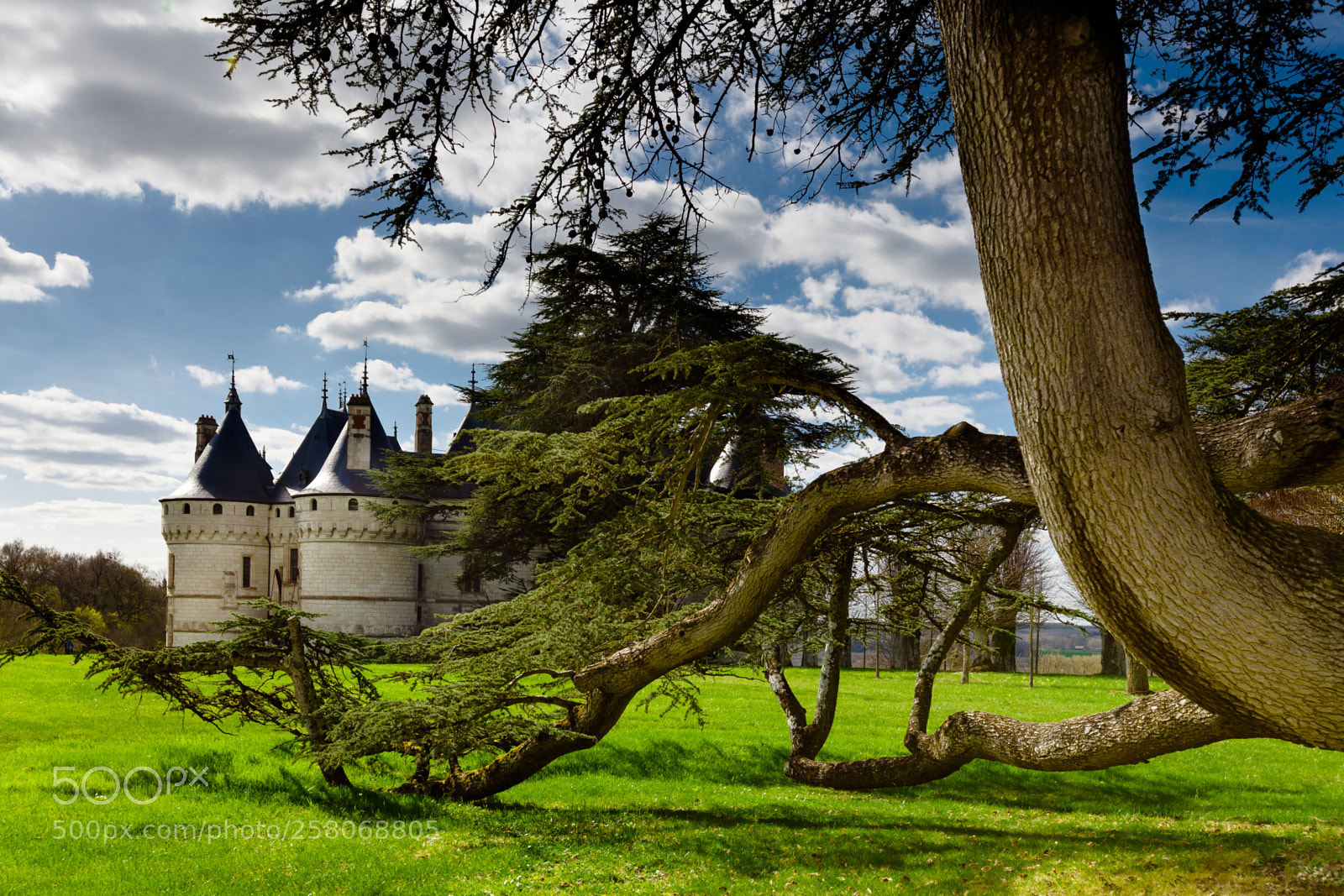 Canon EOS 5D Mark II sample photo. Chateau de chaumont photography