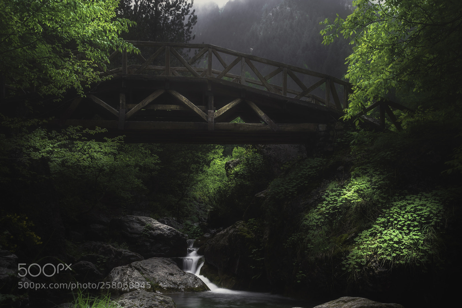 Sony ILCA-77M2 sample photo. Prionia olympos photography