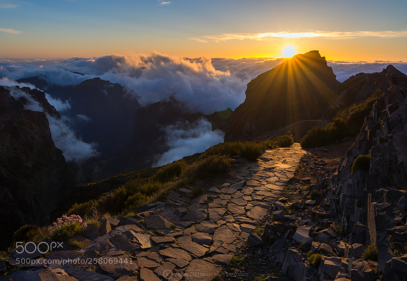 Nikon D7200 sample photo. Path to sunset photography