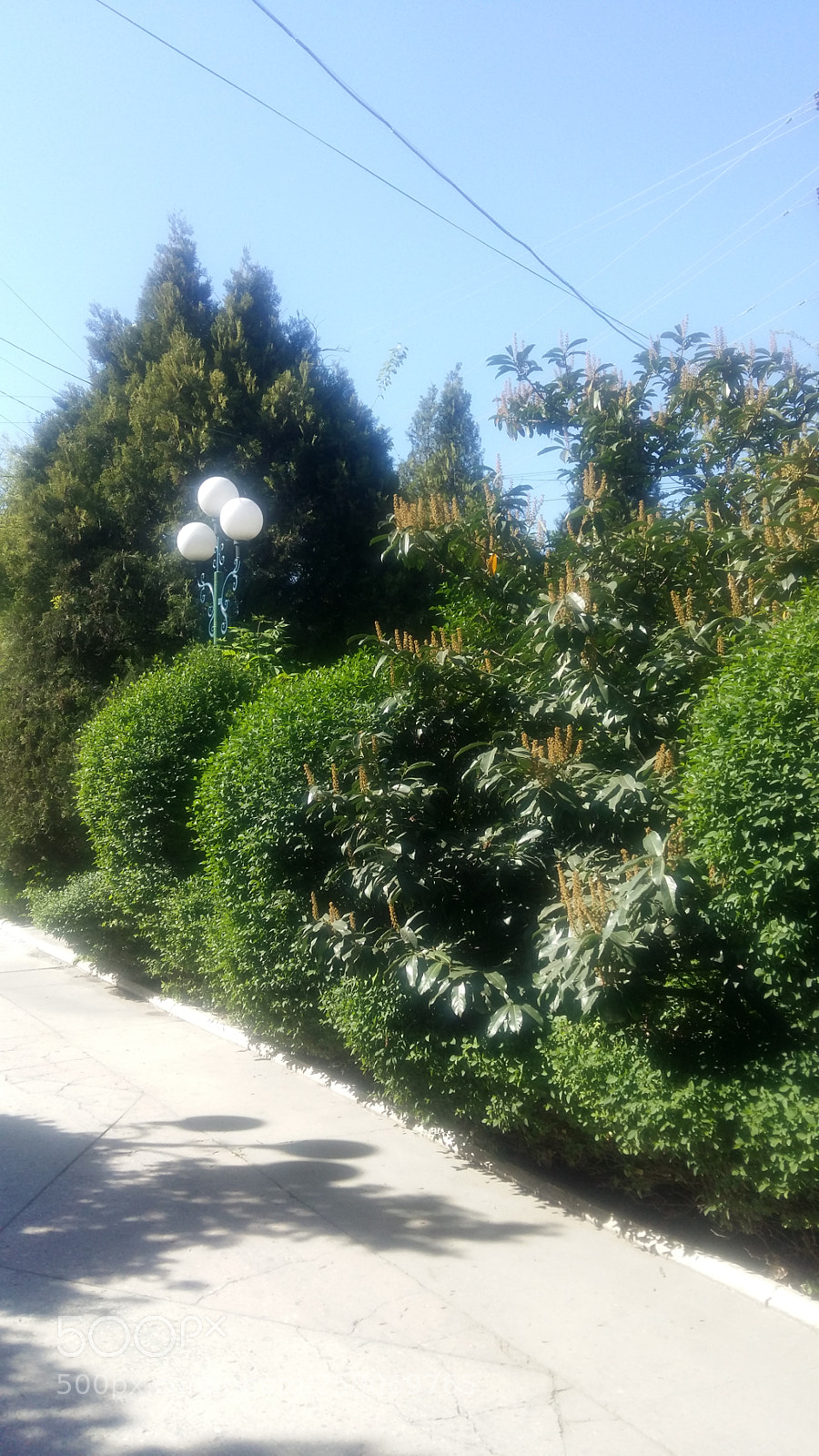Samsung Galaxy A5 sample photo. Warm days have come photography