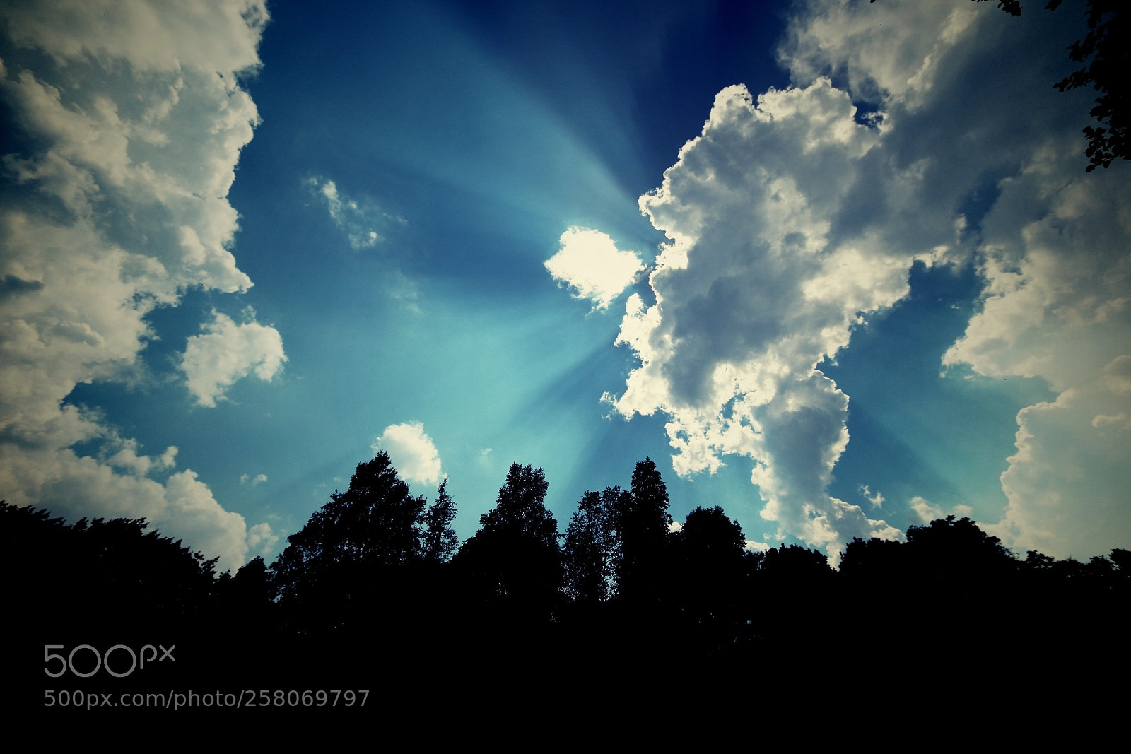 Canon EOS 70D sample photo. Untitled photography
