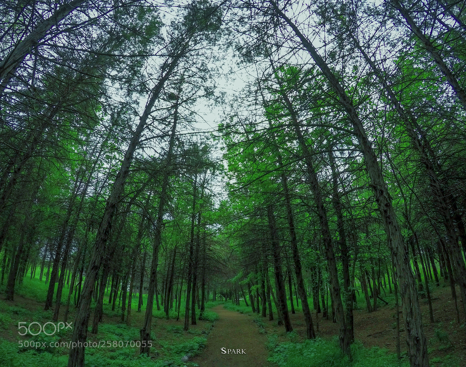 GoPro Hero5 Black sample photo. Nature photography
