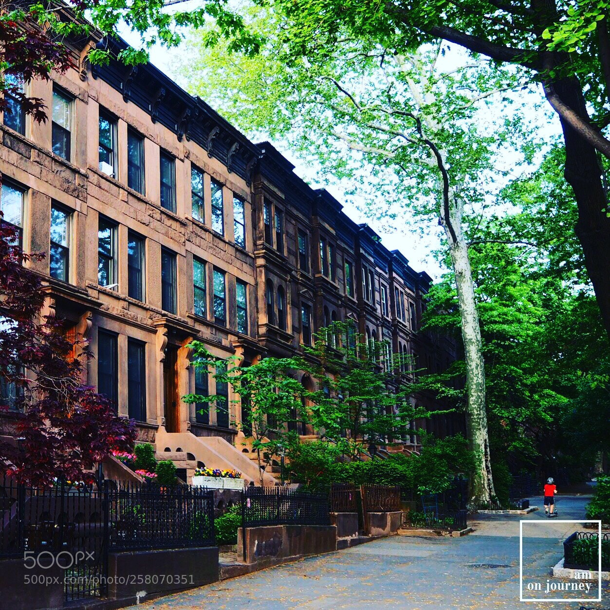 Olympus OM-D E-M10 sample photo. Street on brooklyn photography