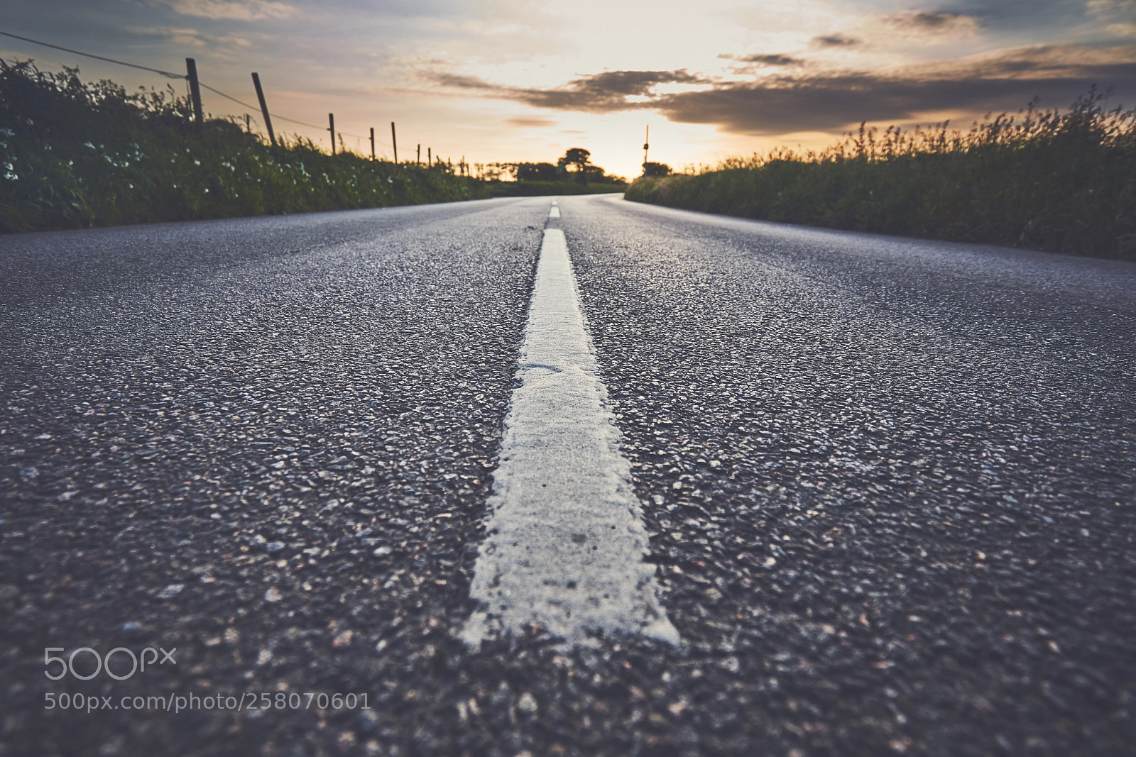 Sony a7R III sample photo. Day one hundred thirty photography