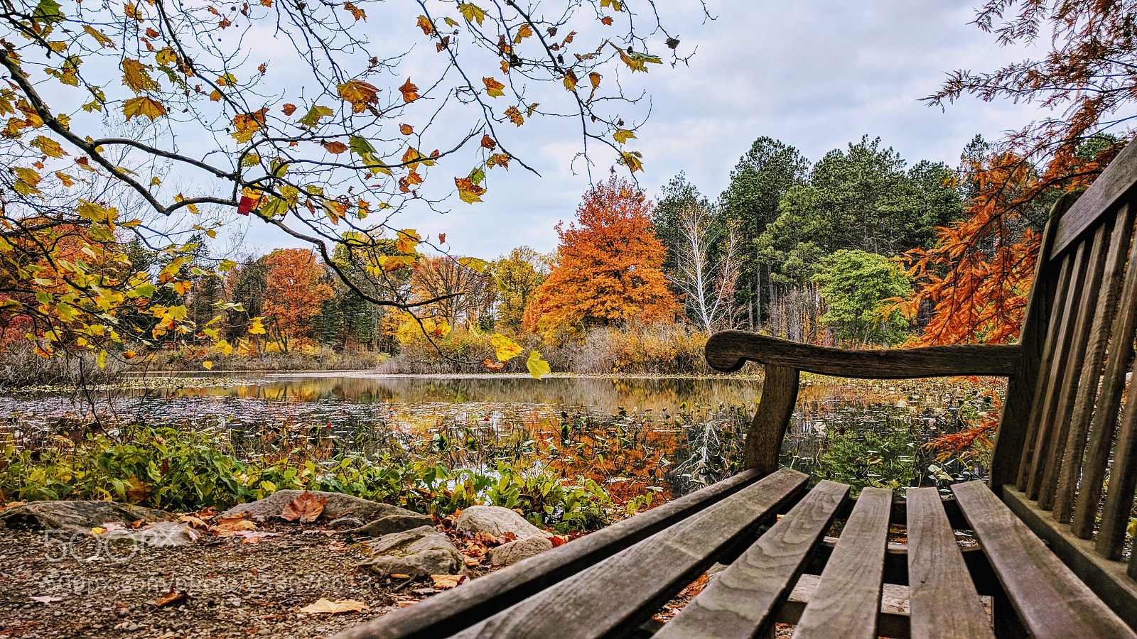 Google Nexus 6P sample photo. Img_20171104_162621.jpg photography