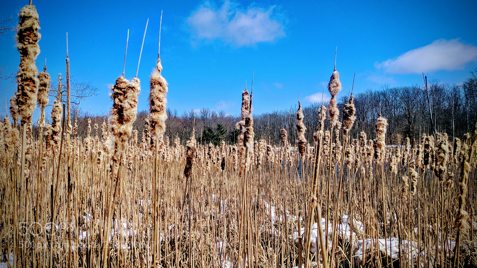 Google Nexus 6P sample photo. Img_20180303_112940.jpg photography