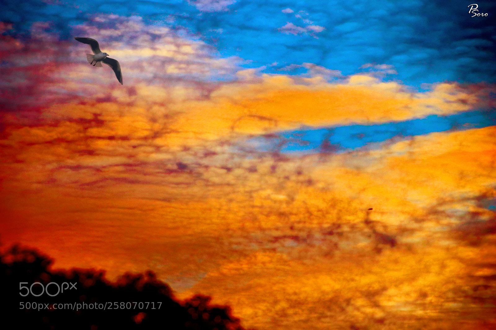 Canon EOS 80D sample photo. Colourful skyscape ... photography