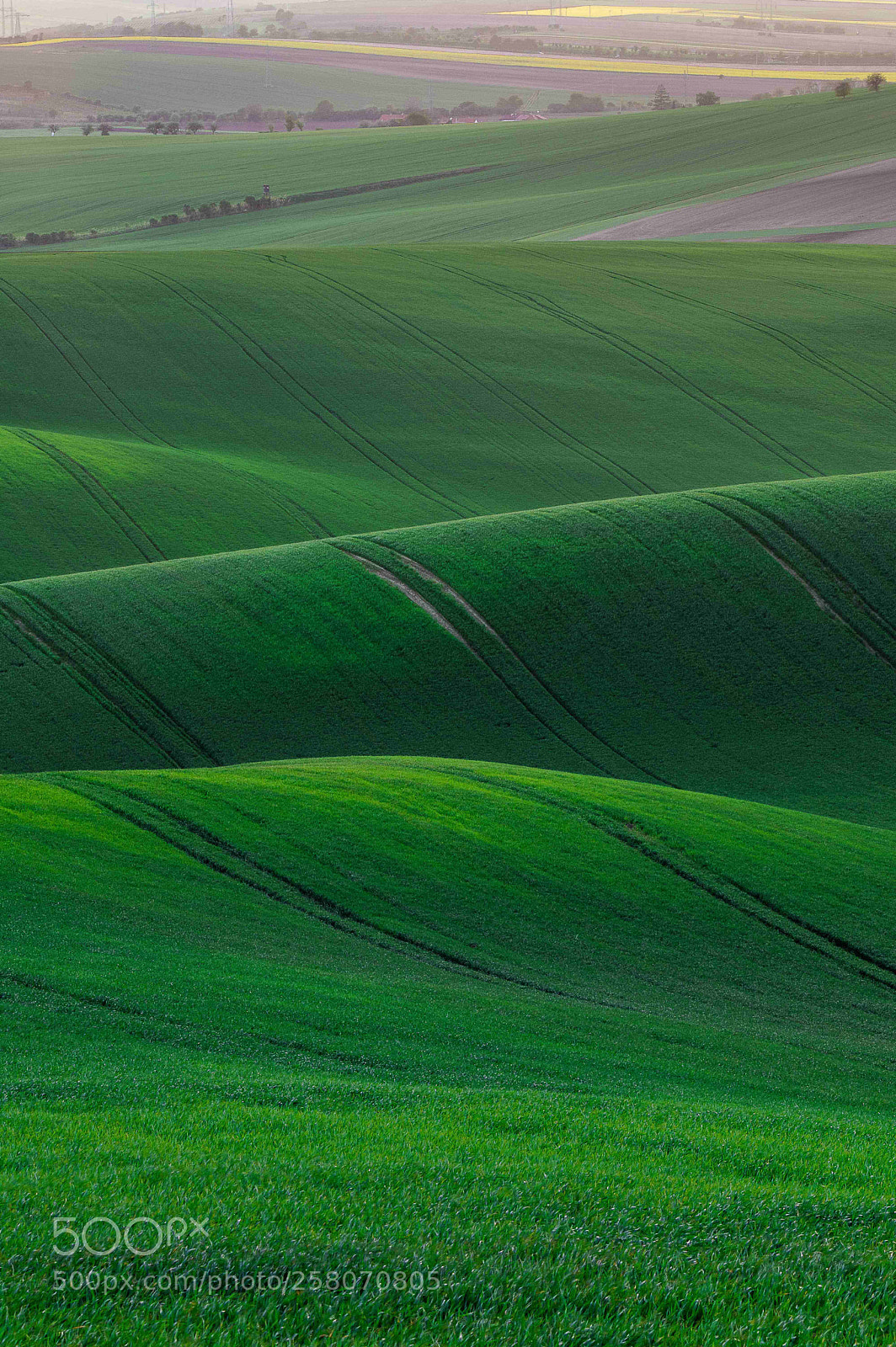 Pentax K-3 sample photo. Green waves in south photography