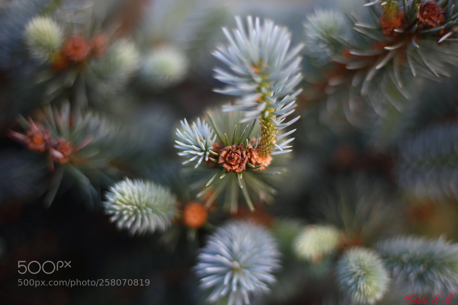 Canon EOS 6D sample photo. Untitled photography