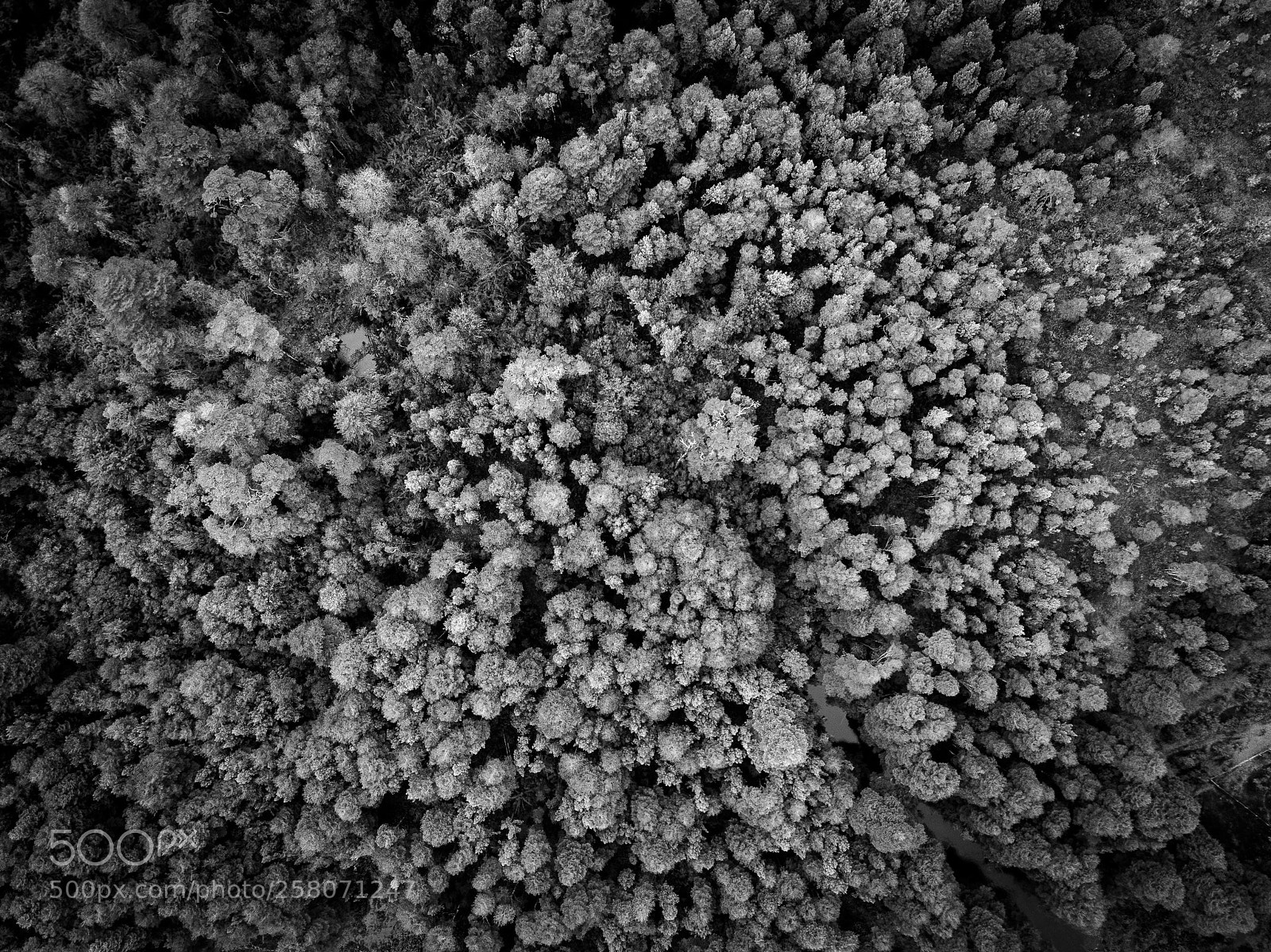 DJI FC220 sample photo. Maze photography