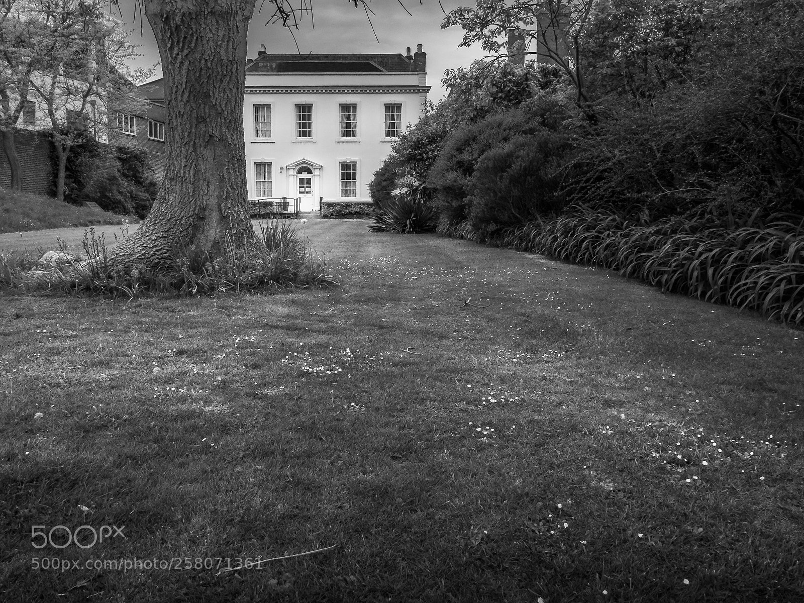 Fujifilm X30 sample photo. A lewes garden photography