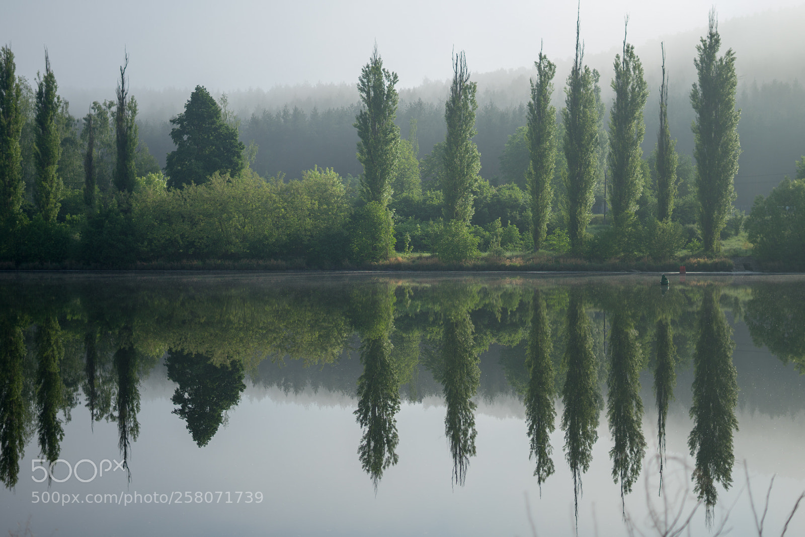 Sony a7 sample photo. Reflection photography