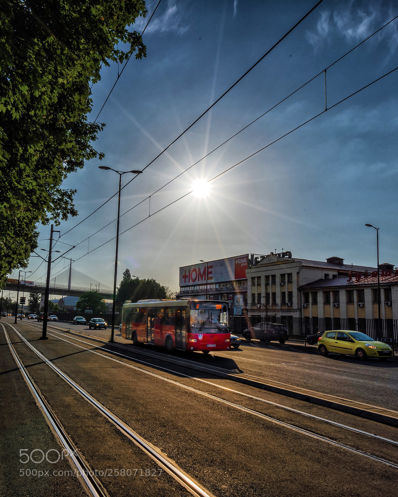 Sony a7 III sample photo. Sunshine on the street photography