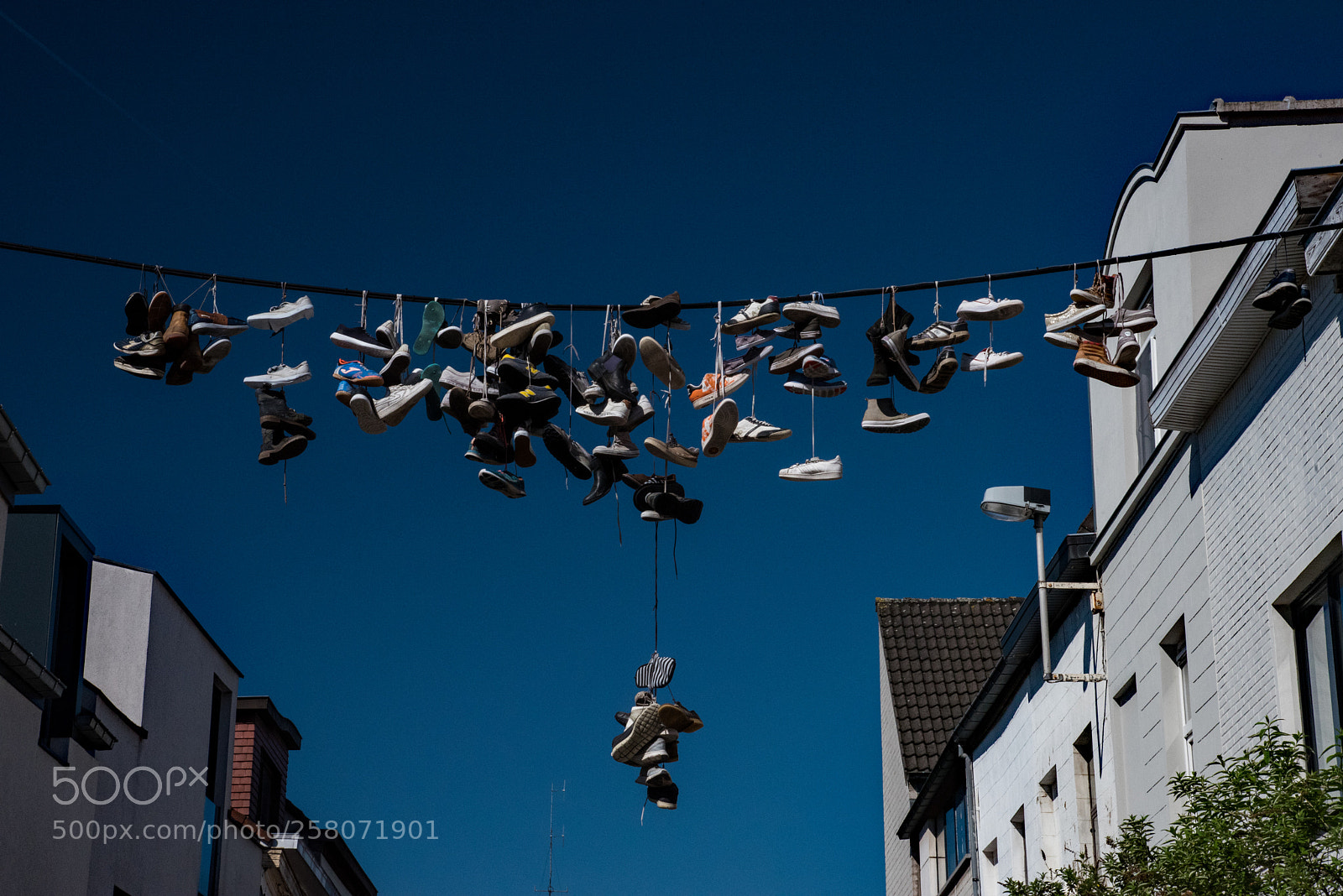 Nikon D750 sample photo. Shoe line photography