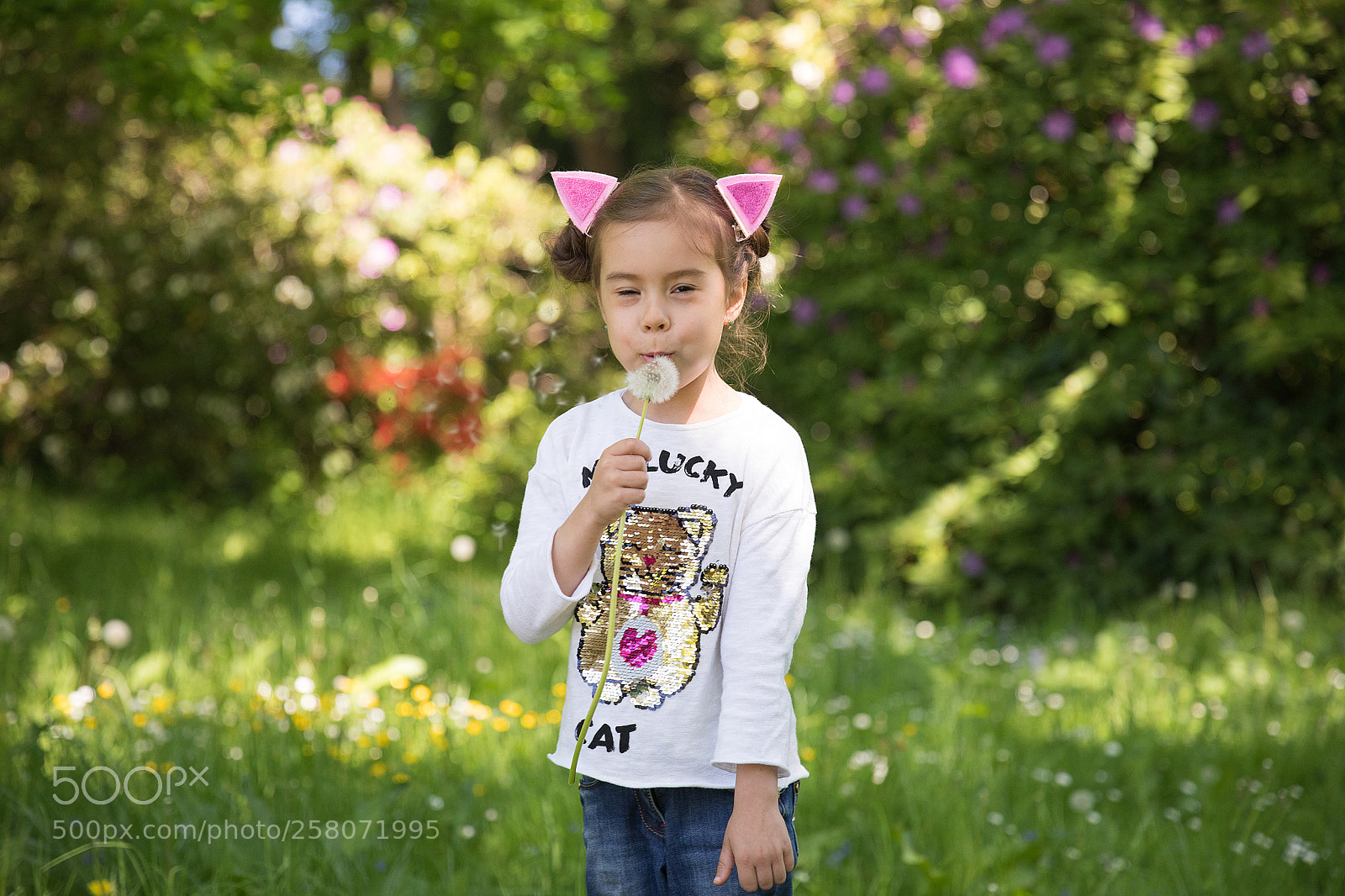Canon EOS 5D Mark IV sample photo. Dandelion photography