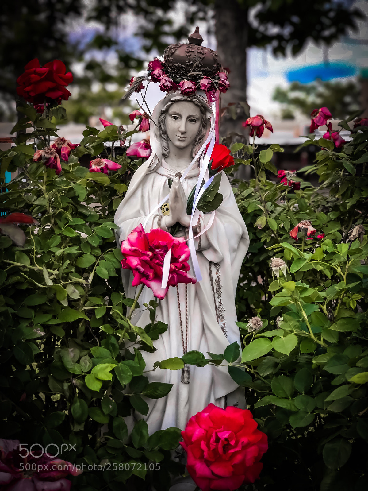 Apple iPhone 8 Plus sample photo. Nuestra se ora de photography