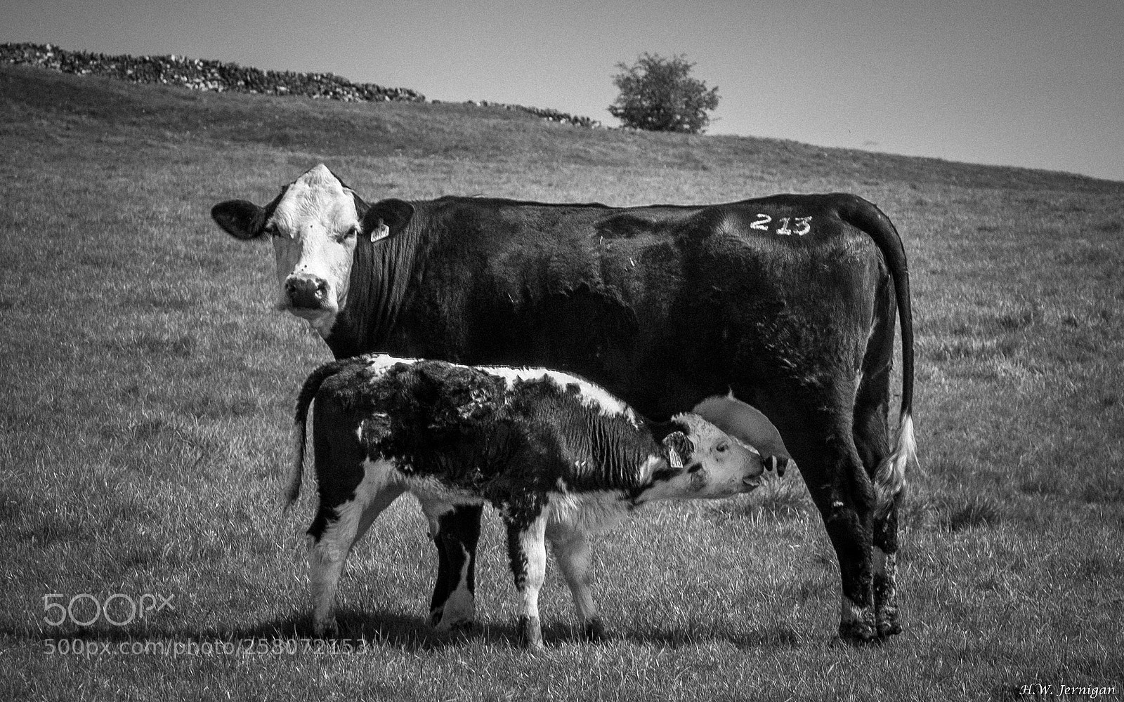Canon EOS 6D sample photo. Mother and child photography