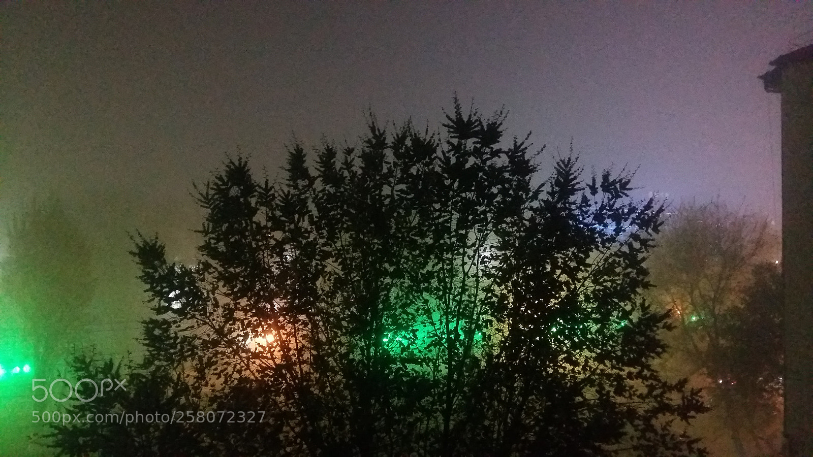 Samsung Galaxy A5 sample photo. Foggy... photography