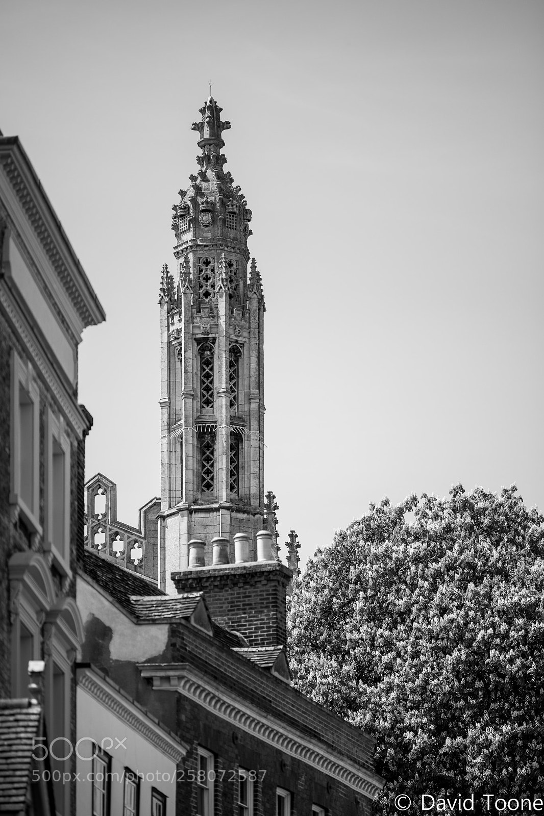 Nikon D800 sample photo. Kings cambridge photography
